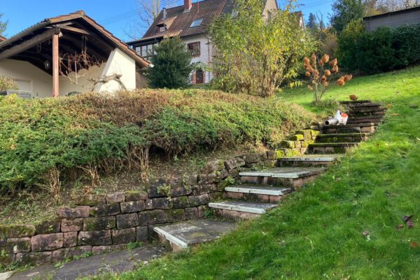 IMG-20251118-WA0020 - Kopie