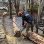 PXL_20241206_100404556