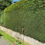 WhatsApp Bild 2025-08-13 um 11.49.29_c7b5f676