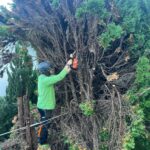 WhatsApp Bild 2025-12-09 um 21.05.37_7be75fed