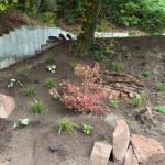 WhatsApp Bild 2025-12-09 um 21.55.12_1c1900e8